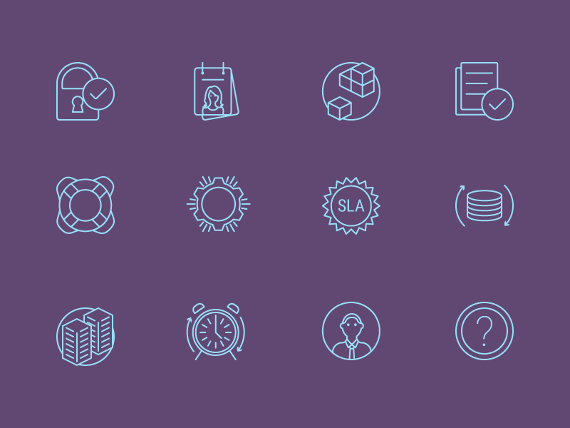 Websolr Feature Icons